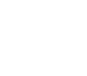 ladanseboutique blanco 01